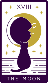 card-4